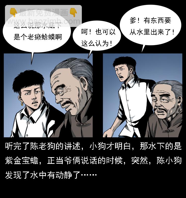024 聚宝蟾24