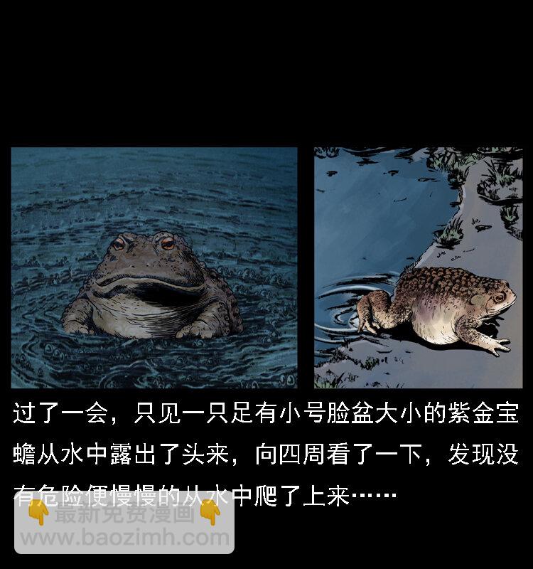 024 聚宝蟾27