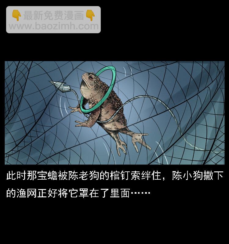 024 聚宝蟾33