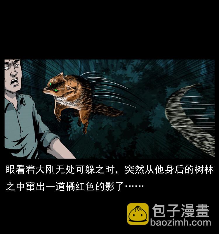 029 斗土蛟36