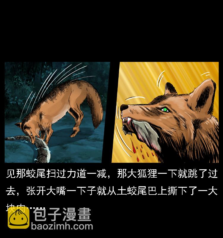 029 斗土蛟38