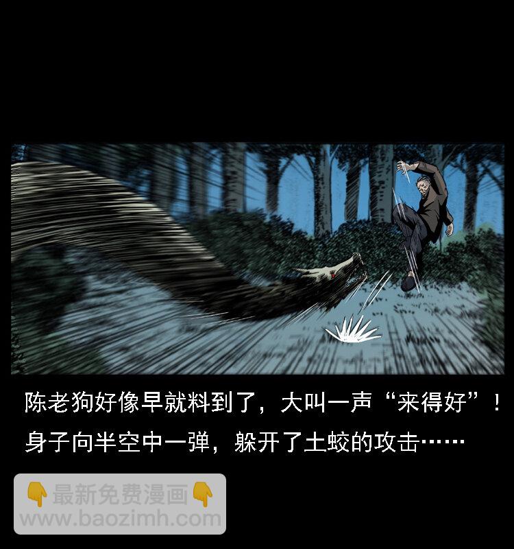 029 斗土蛟43