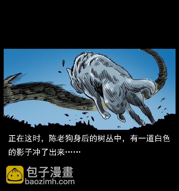 029 斗土蛟44