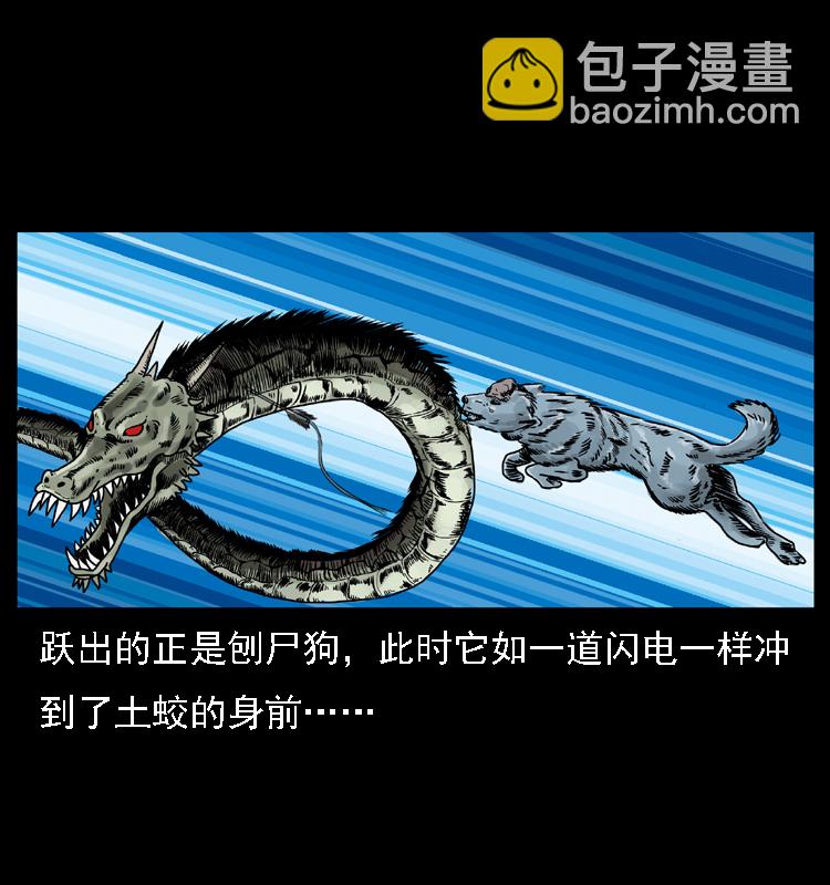 029 斗土蛟45