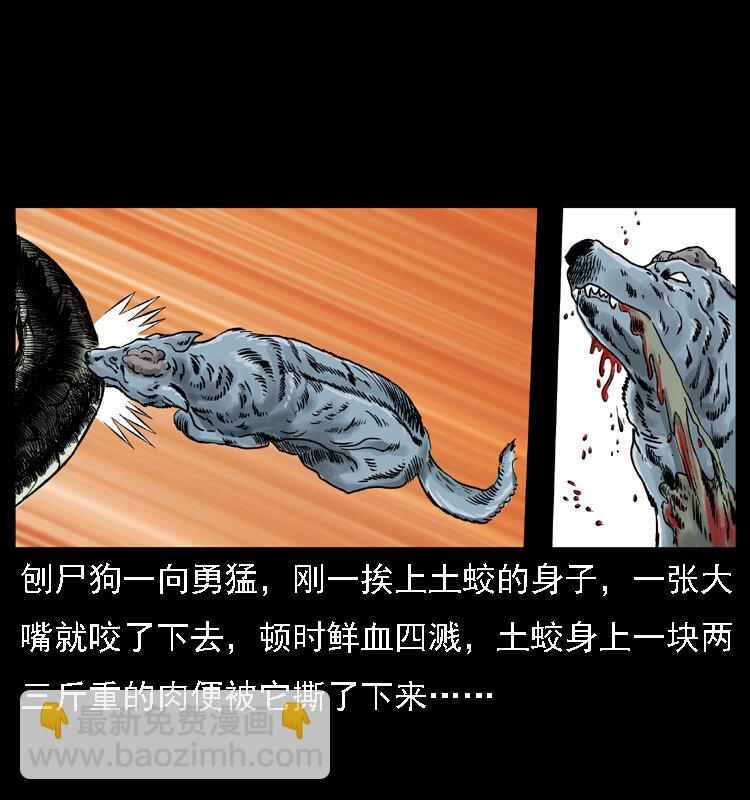 029 斗土蛟46