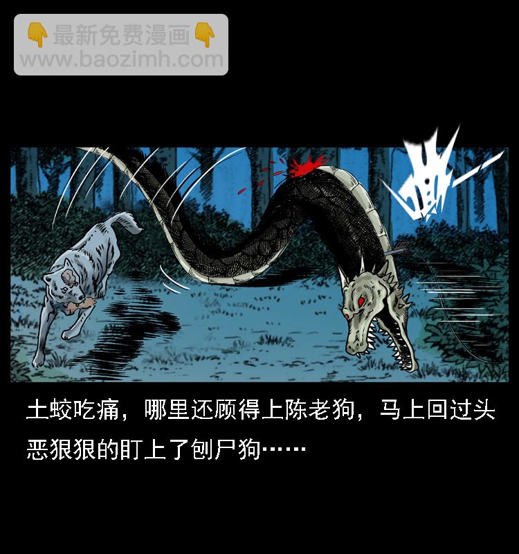 029 斗土蛟47