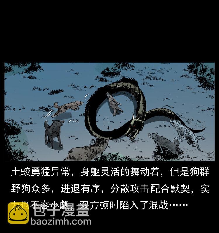 029 斗土蛟55