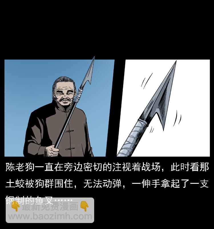 029 斗土蛟58