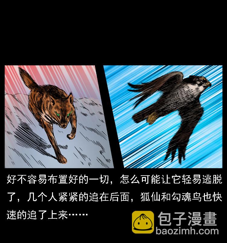 030 斗土蛟211