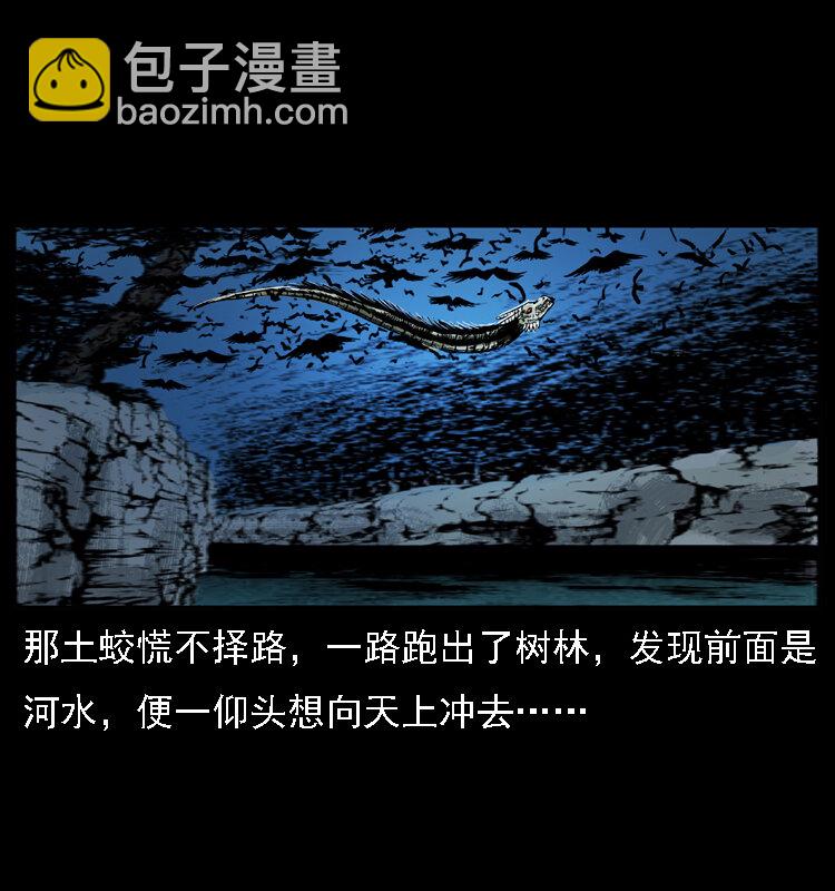 030 斗土蛟216