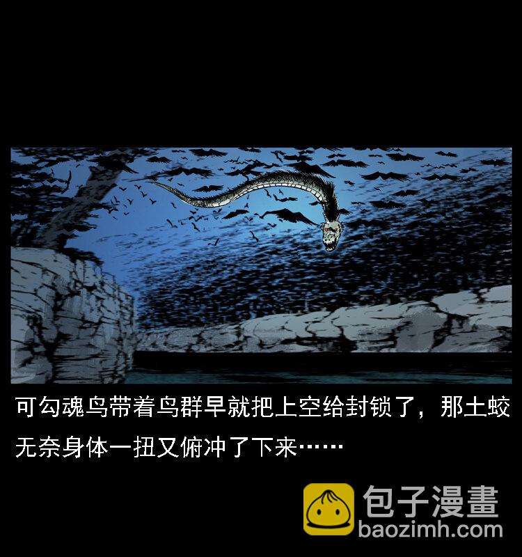 030 斗土蛟217