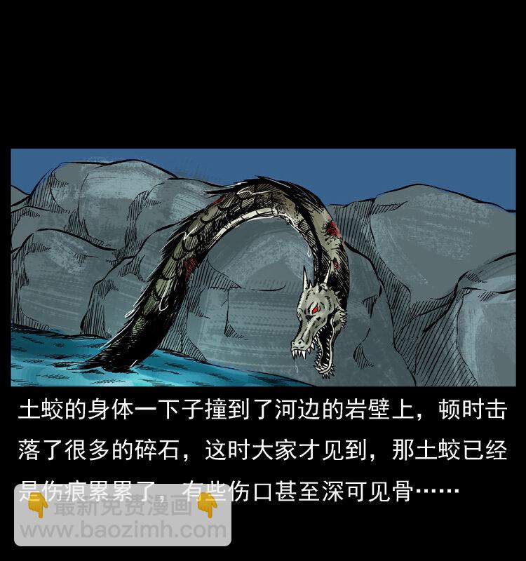 030 斗土蛟245