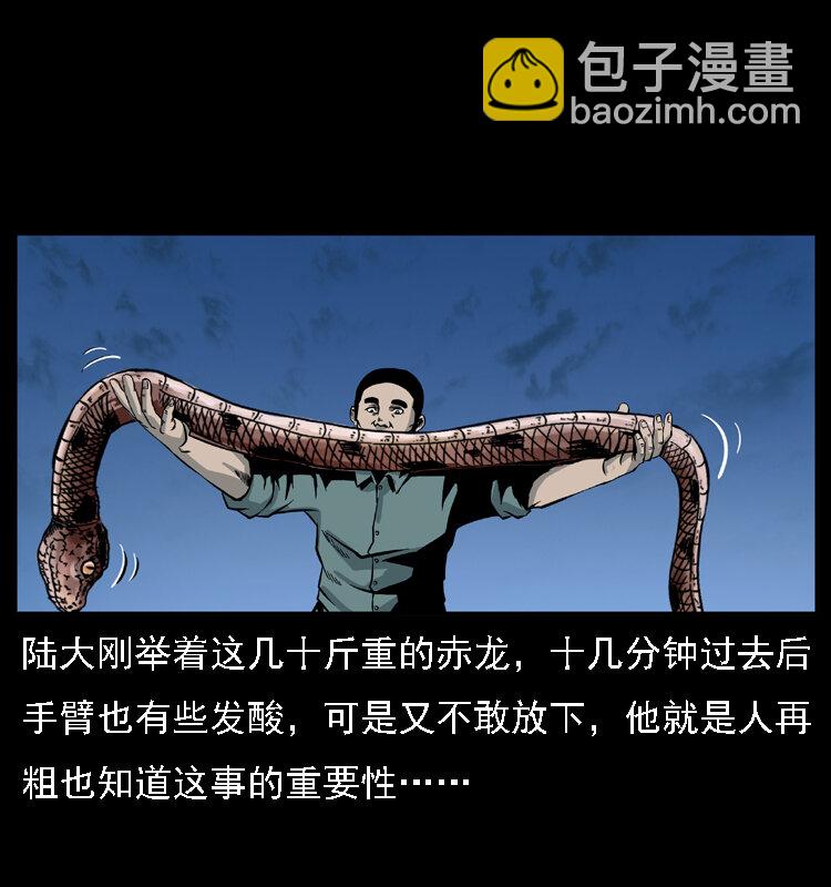031 斗土蛟339