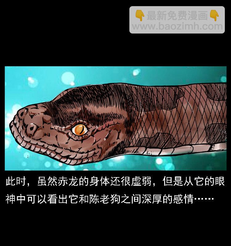 031 斗土蛟347