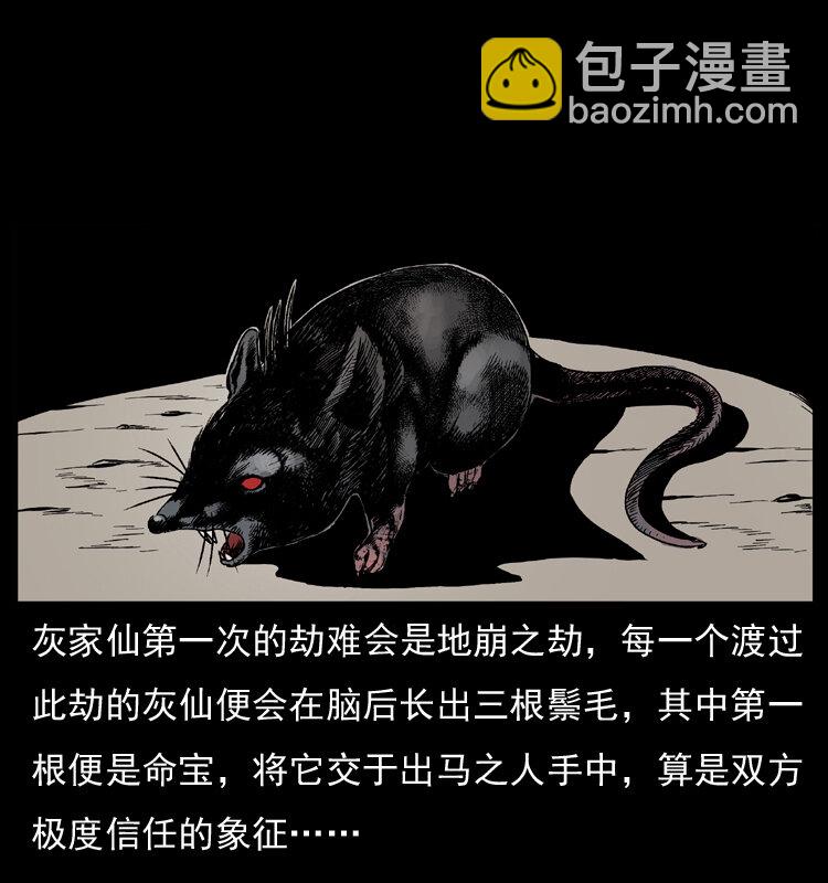035 陈小狗出马11