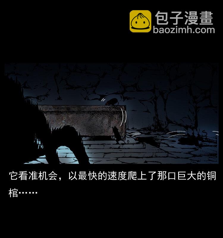 035 陈小狗出马59