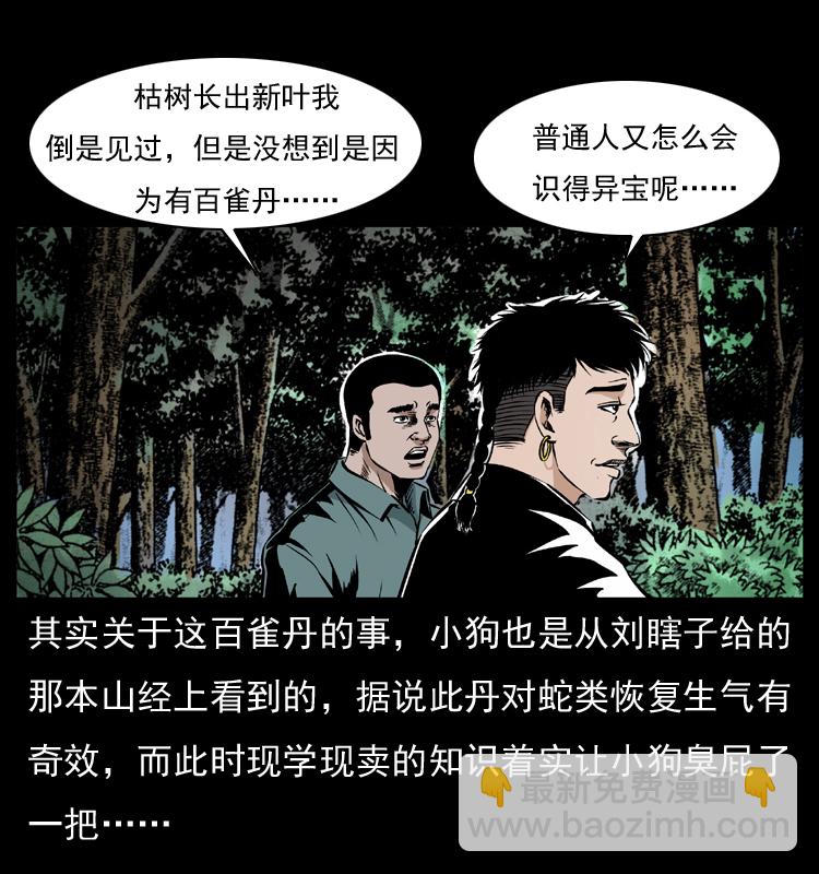 036 百雀丹（上）12