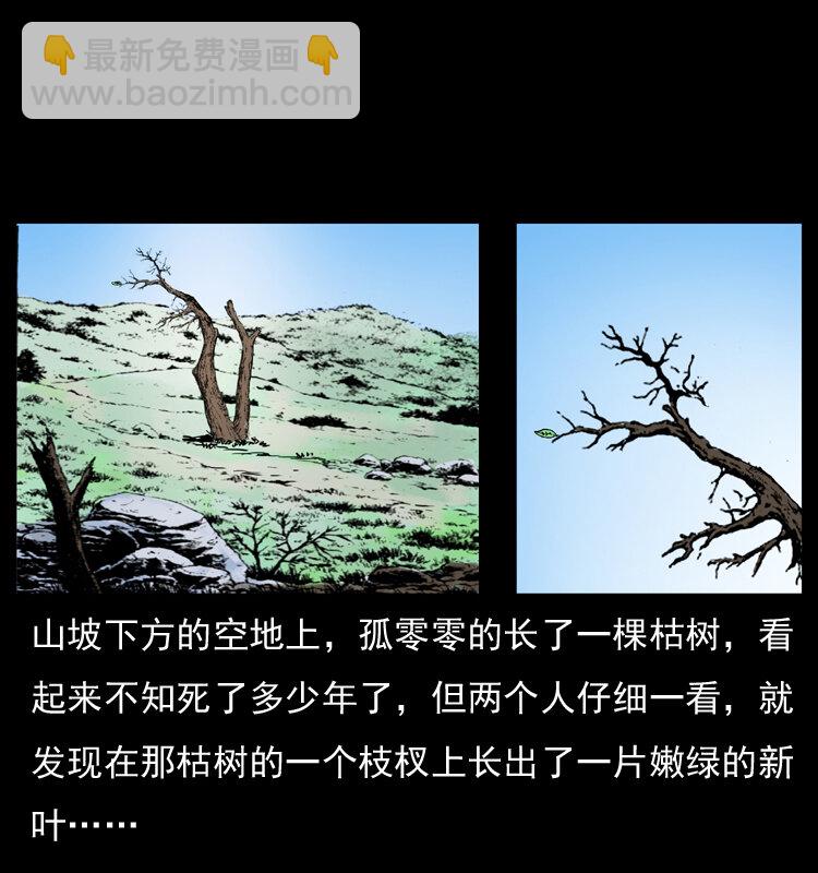 036 百雀丹（上）32