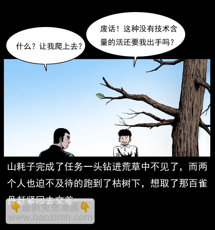 036 百雀丹（上）33