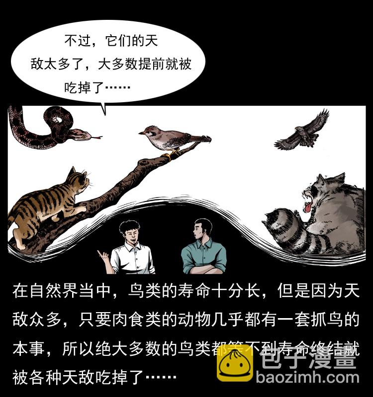 036 百雀丹（上）6