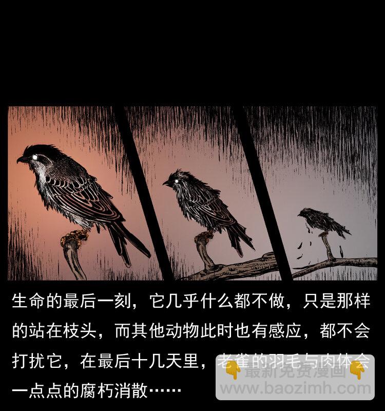 036 百雀丹（上）8