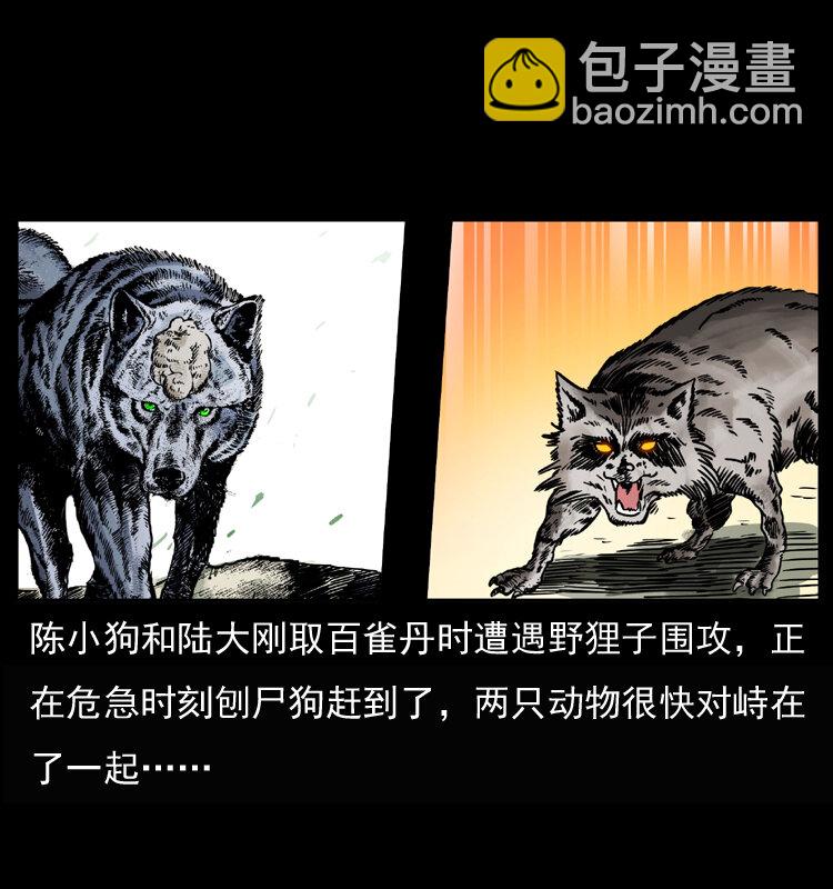 037 百雀丹（下）1