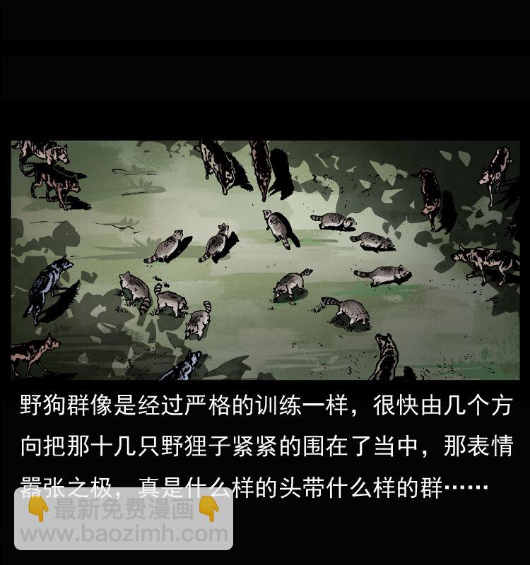 037 百雀丹（下）11