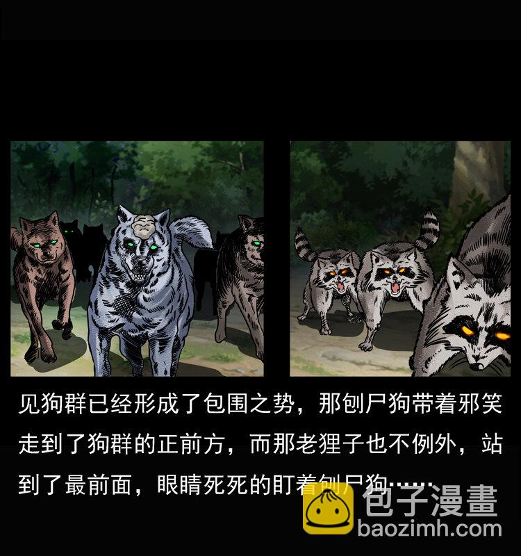 037 百雀丹（下）12