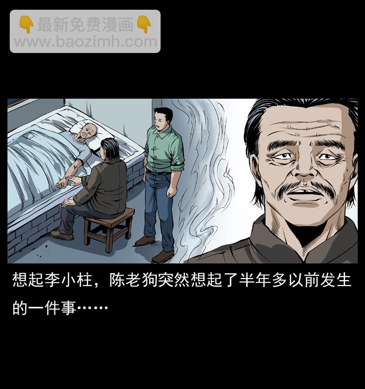 041 雷击尸216