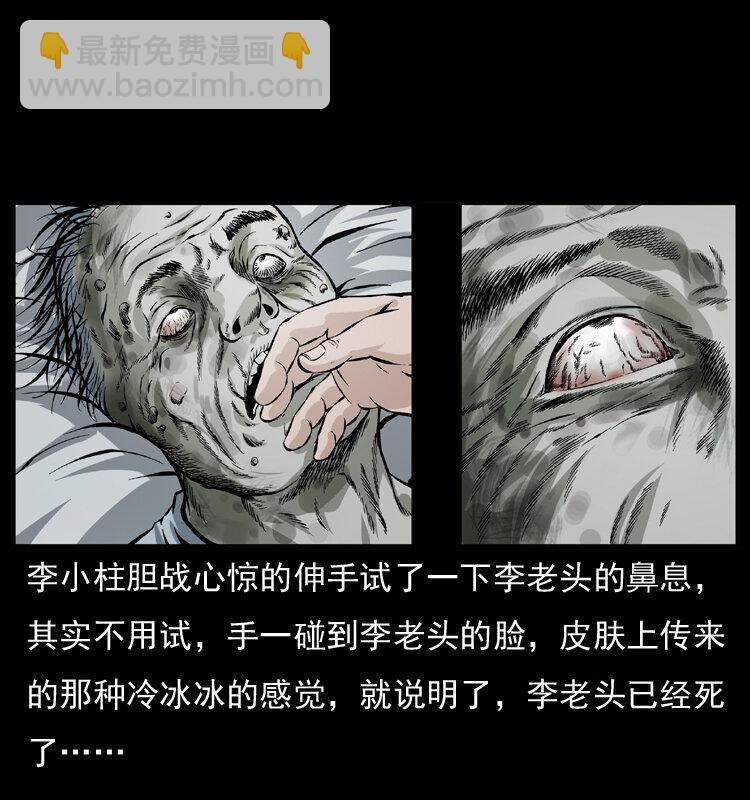 041 雷击尸235