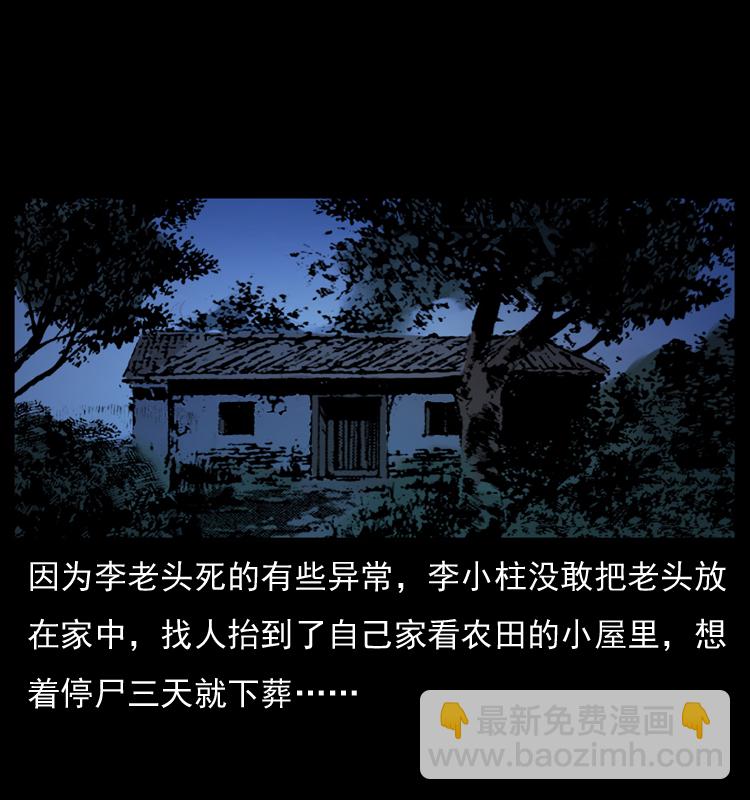 041 雷击尸237