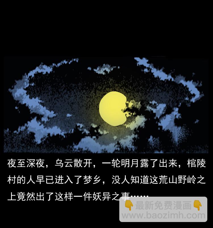 041 雷击尸275