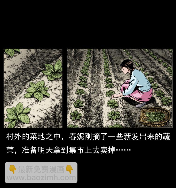 番外1 惊天大计划13