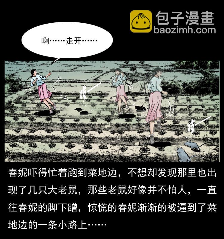 番外1 惊天大计划16