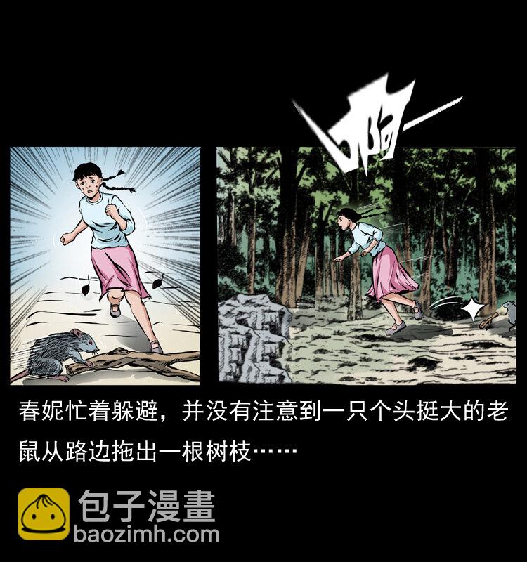 番外1 惊天大计划17
