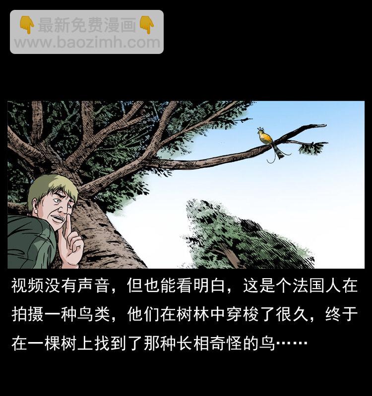 047 接龙骨32