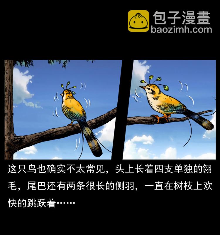 047 接龙骨34
