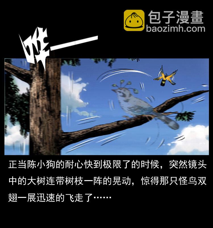 047 接龙骨35