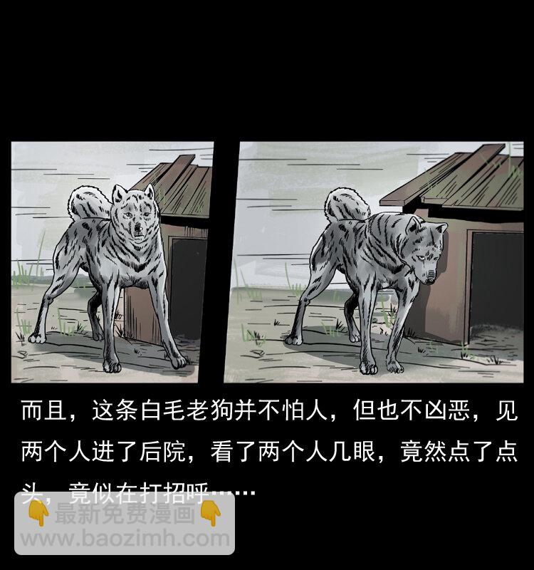 048 刨尸狗传奇121