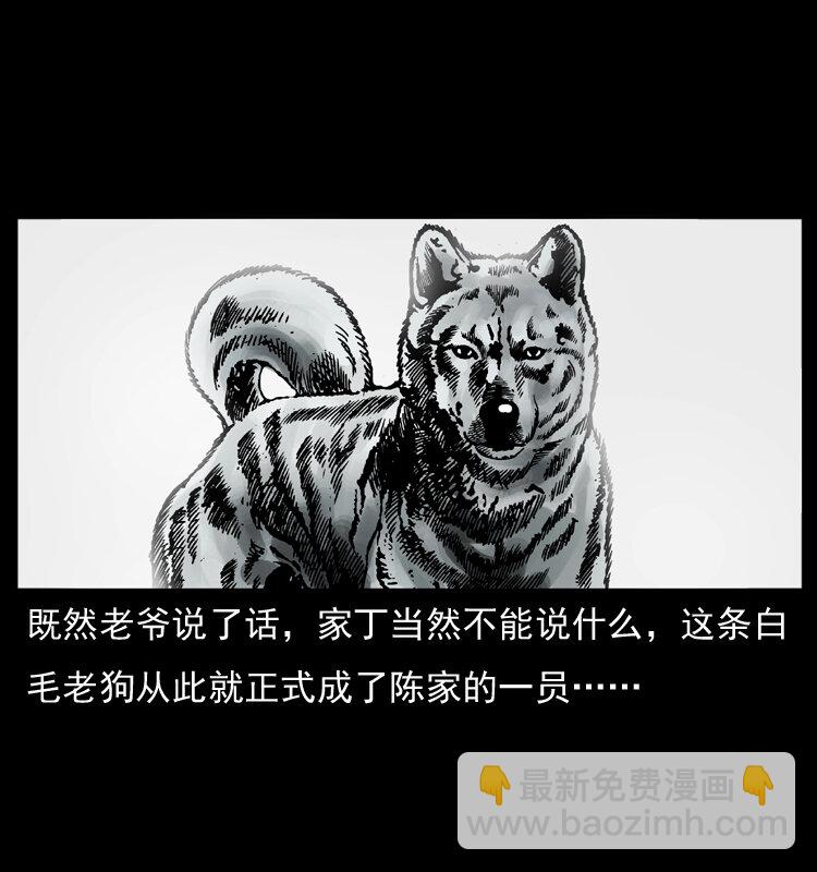 048 刨尸狗传奇124