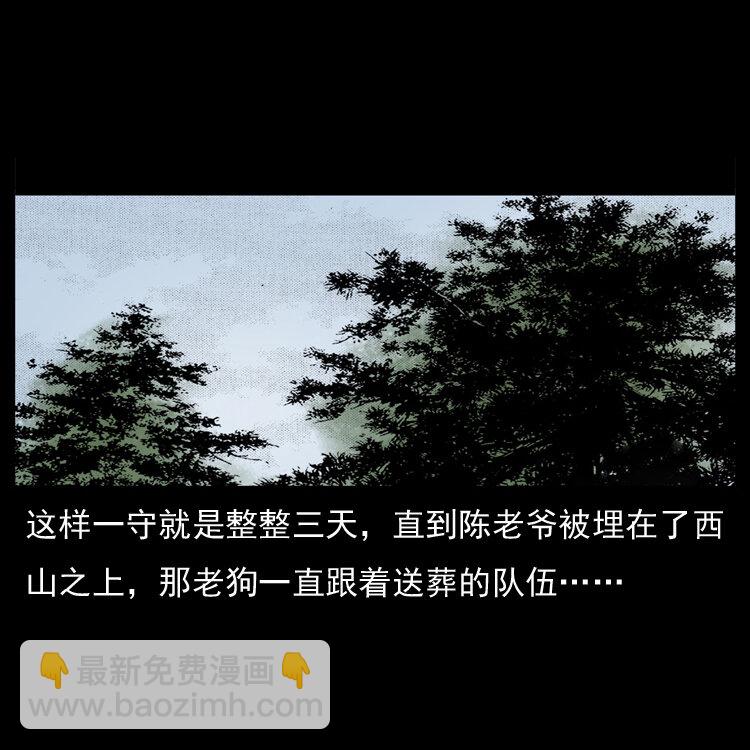 048 刨尸狗传奇132
