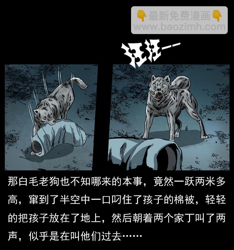 048 刨尸狗传奇147