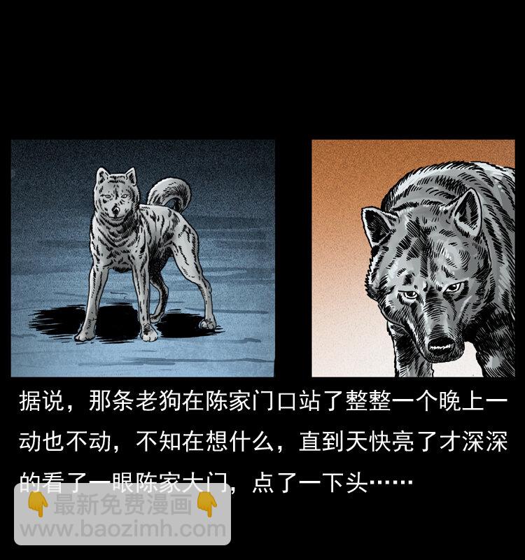 048 刨尸狗传奇172