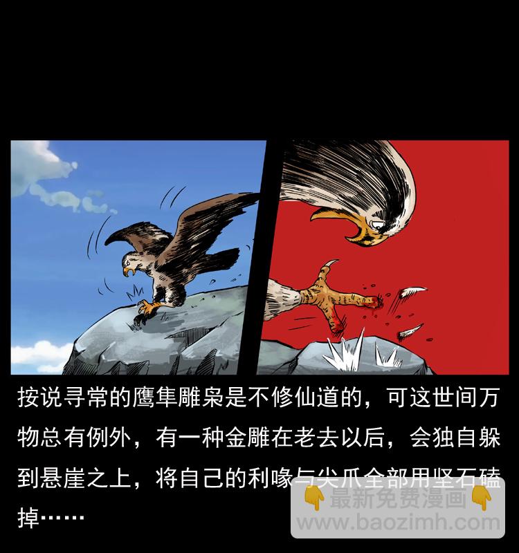 049 刨尸狗传奇211