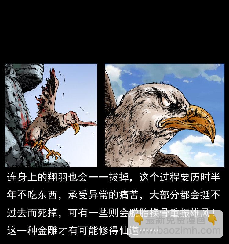 049 刨尸狗传奇212