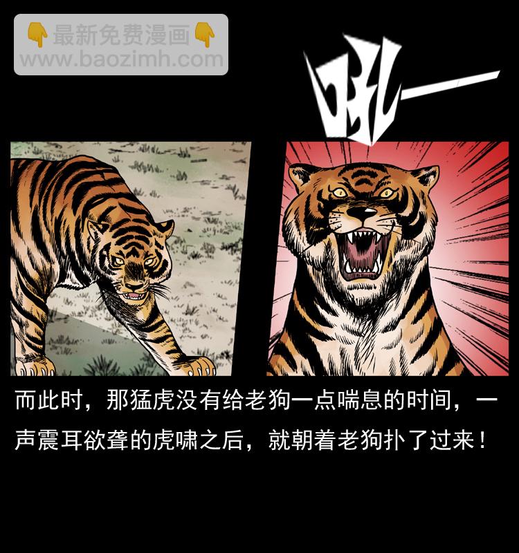 049 刨尸狗传奇228