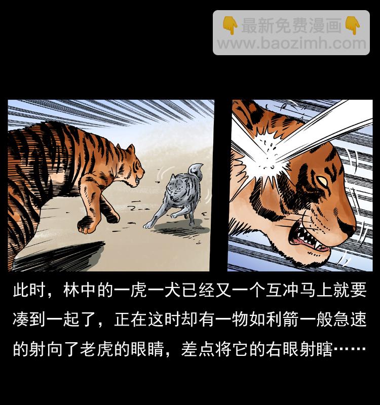 049 刨尸狗传奇234