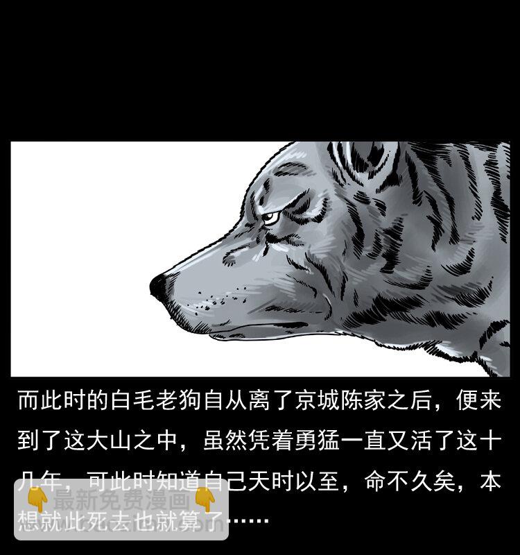 049 刨尸狗传奇262