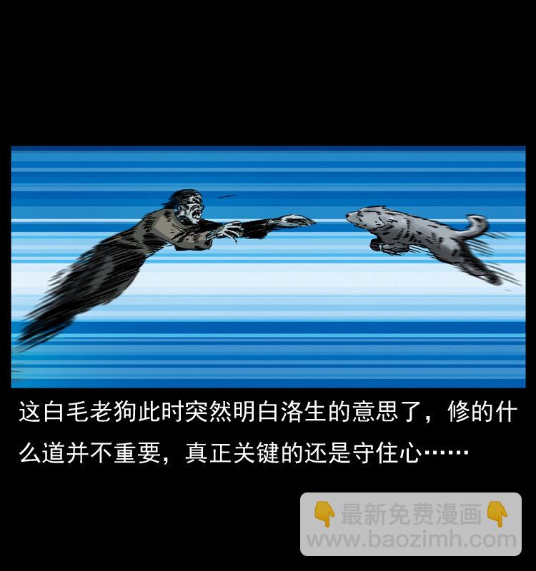 049 刨尸狗传奇273