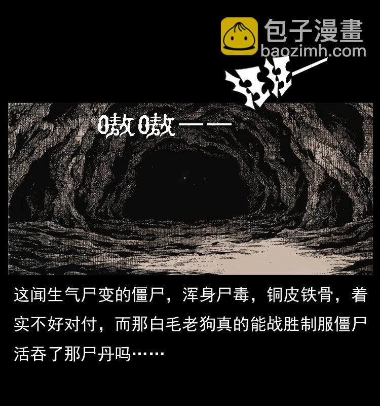 049 刨尸狗传奇275